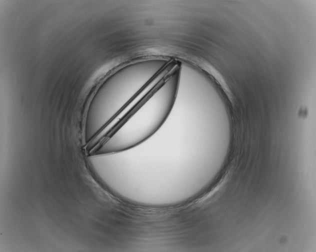 X0000096950930200802080917