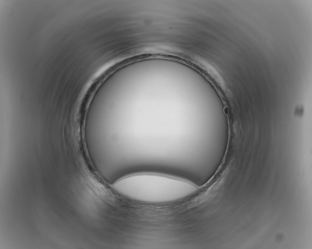 X0000096950931200802080917