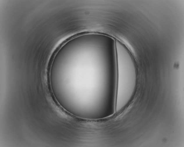 X0000096950932200802080917