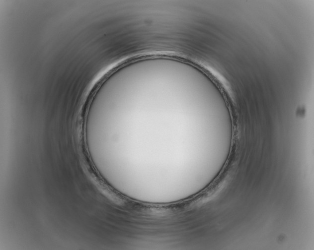X0000096950933200802080917