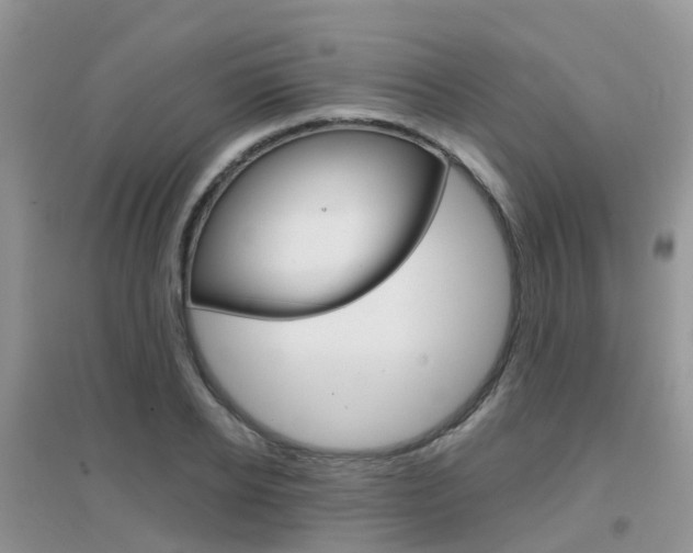 X0000096950934200802080917