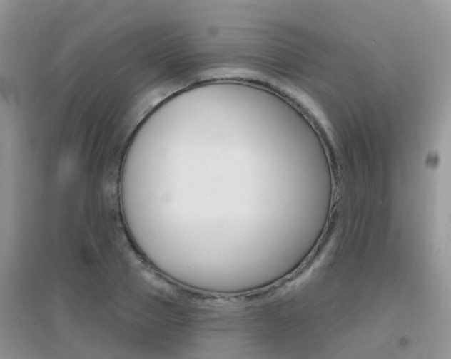 X0000096950937200802080917