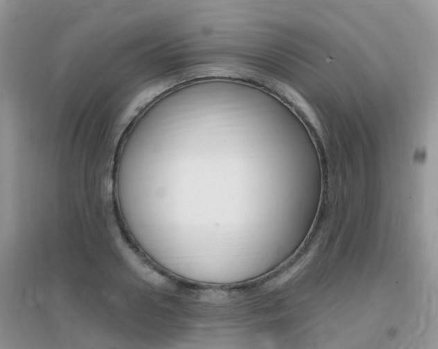 X0000096950938200802080917