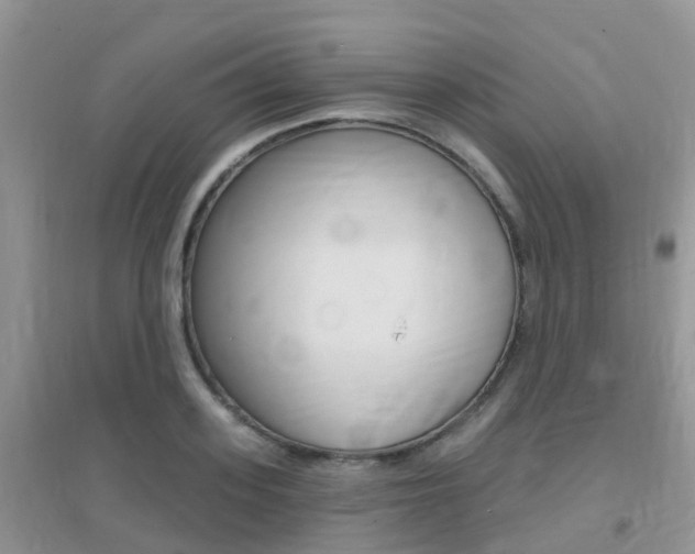 X0000096950939200802080917
