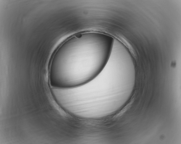 X0000096950940200802080917