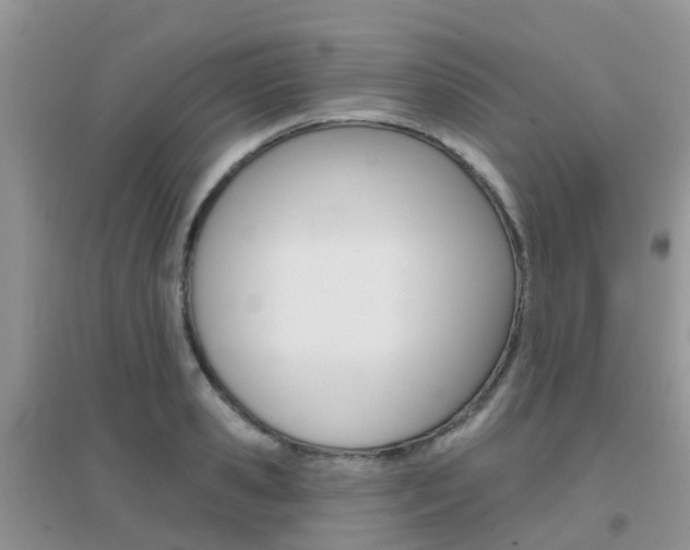 X0000096950941200802080917