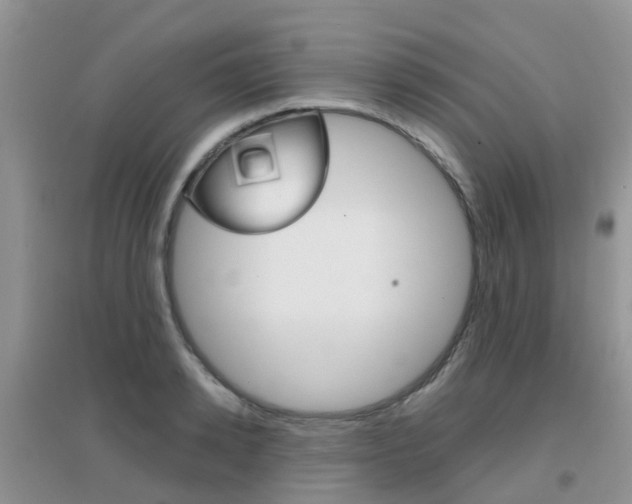 X0000096950942200802080917