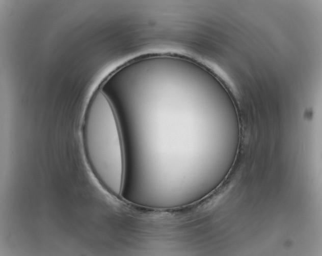X0000096950943200802080917