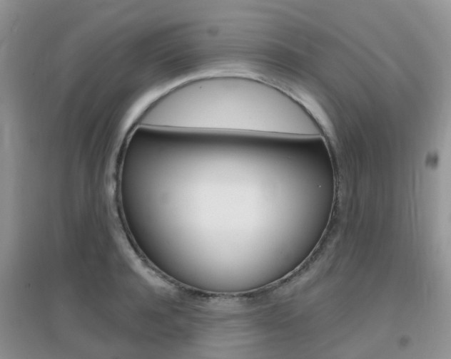 X0000096950944200802080917