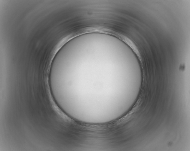 X0000096950946200802080917
