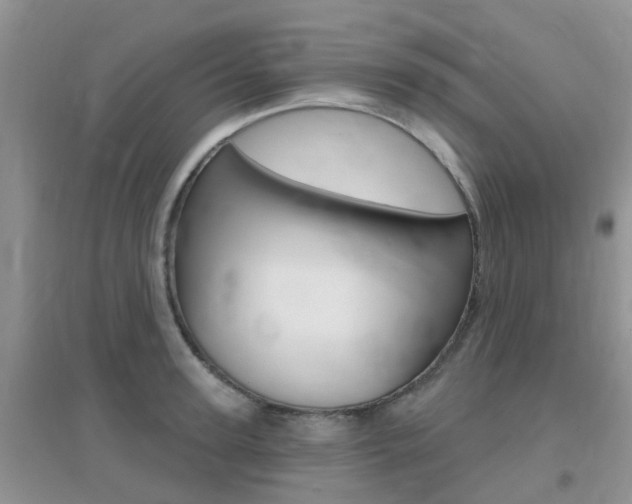 X0000096950947200802080917