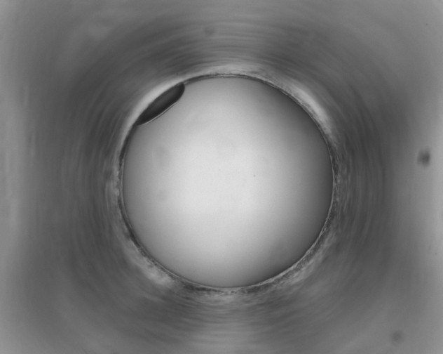 X0000096950948200802080917