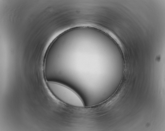 X0000096950951200802080918