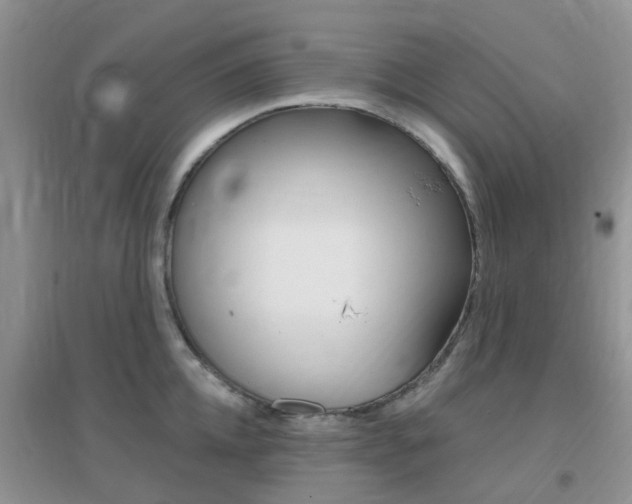 X0000096950952200802080918