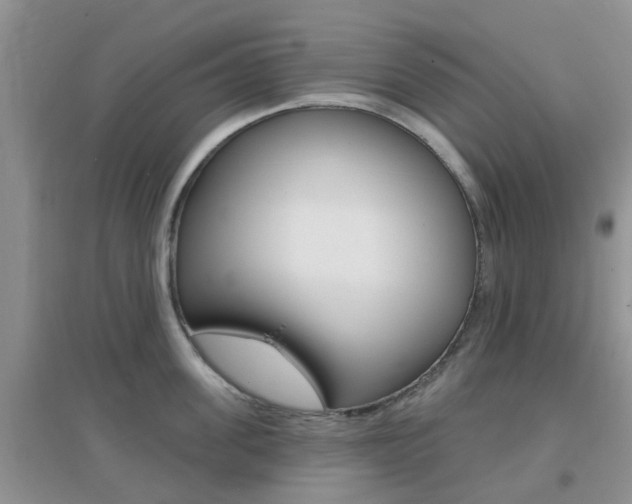 X0000096950955200802080918