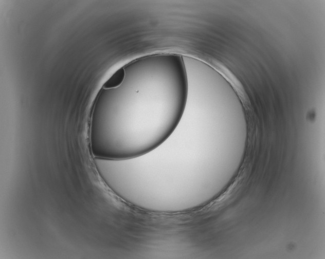 X0000096950956200802080918