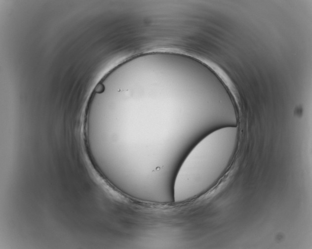 X0000096950957200802080918