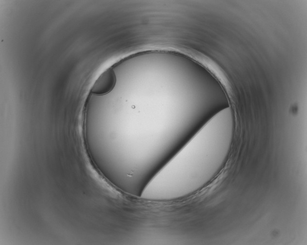 X0000096950958200802080918