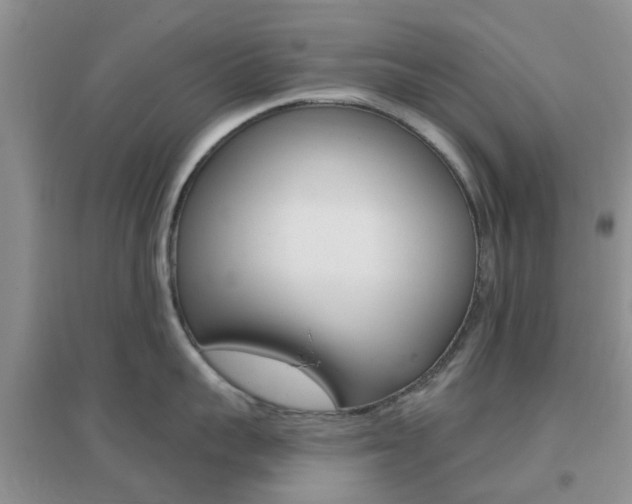 X0000096950959200802080918