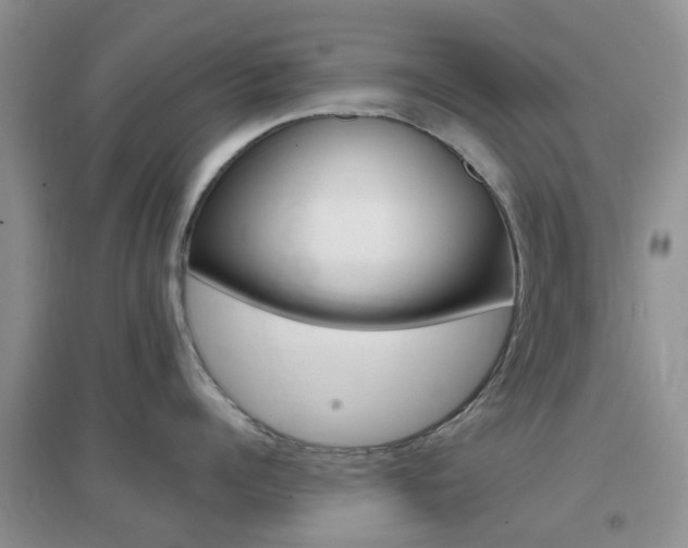 X0000096950960200802080918