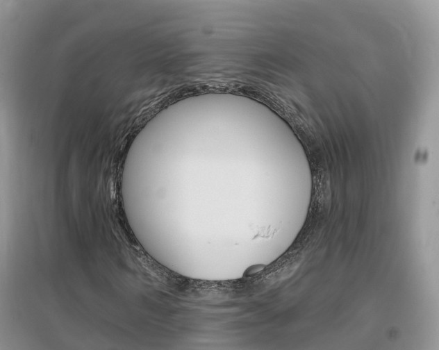 X0000096950962200802080917