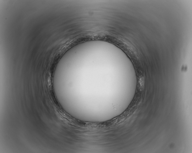 X0000096950963200802080917