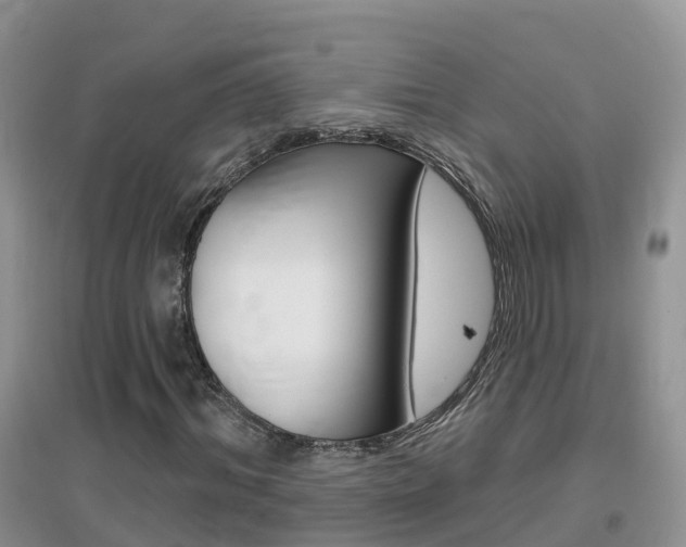 X0000096950964200802080917
