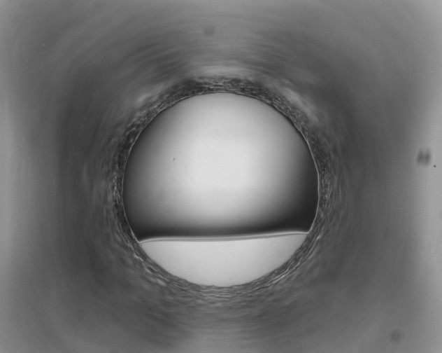 X0000096950965200802080917