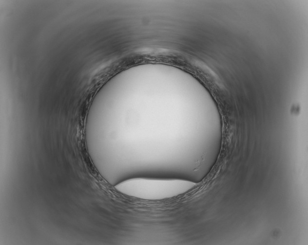 X0000096950966200802080917