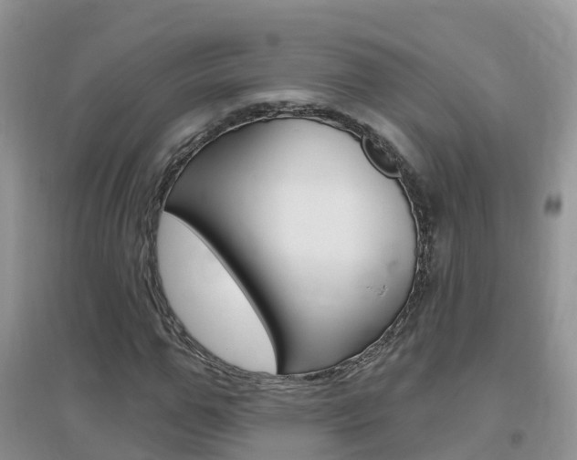 X0000096950967200802080917