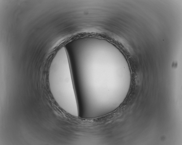 X0000096950968200802080917