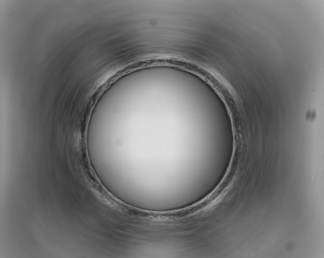 X0000096950969200802080917