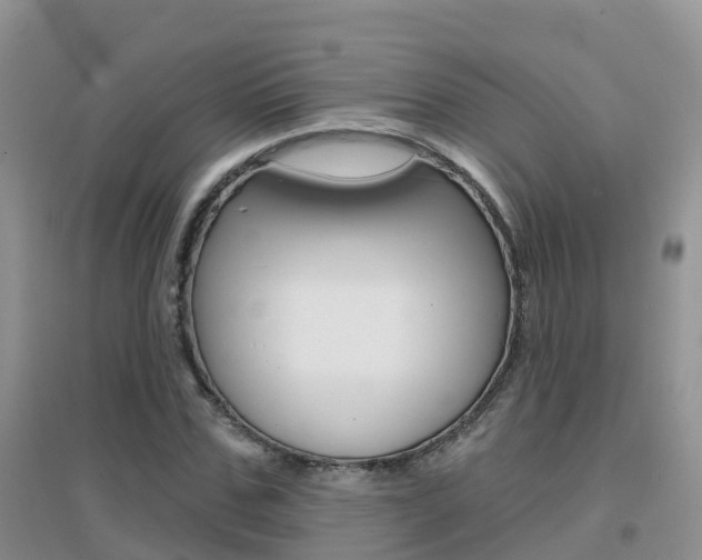X0000096950971200802080917