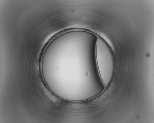 X0000096950972200802080917