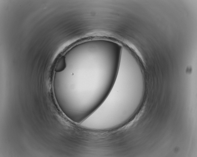 X0000096950973200802080917