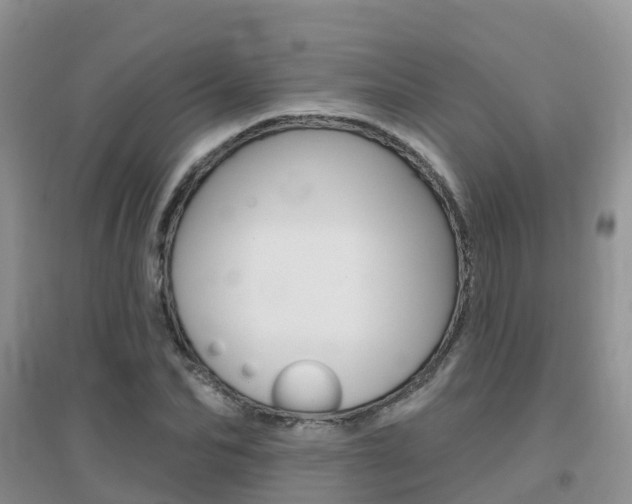 X0000096950974200802080917