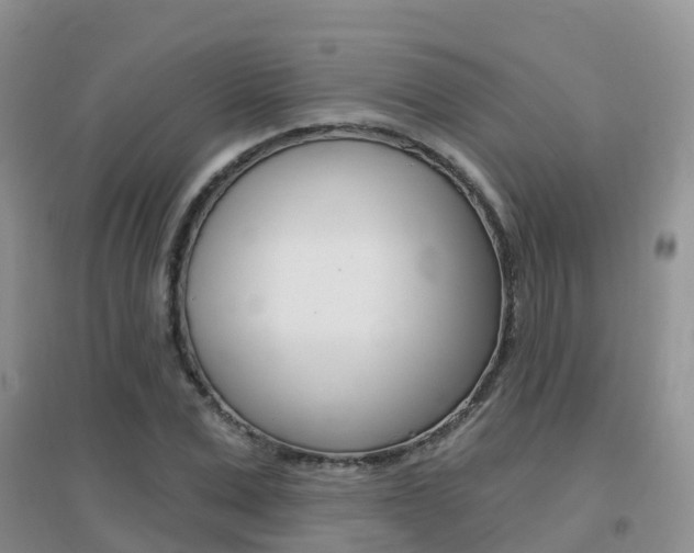 X0000096950975200802080917