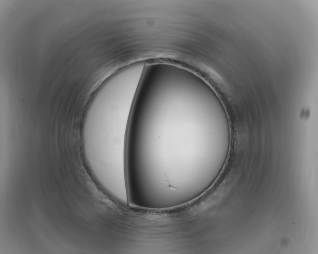 X0000096950977200802080917
