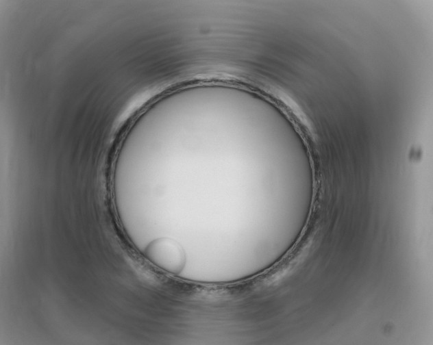 X0000096950978200802080917