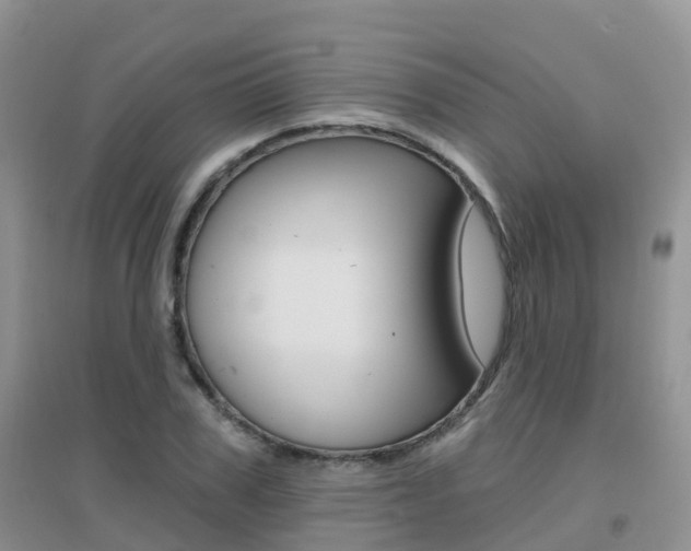 X0000096950979200802080917