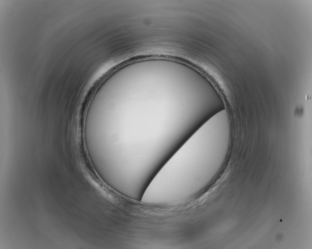 X0000096950982200802080917