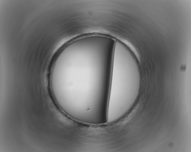 X0000096950983200802080917
