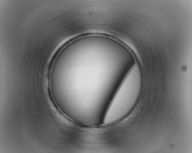 X0000096950984200802080917