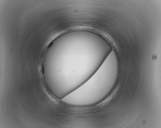 X0000096950985200802080917
