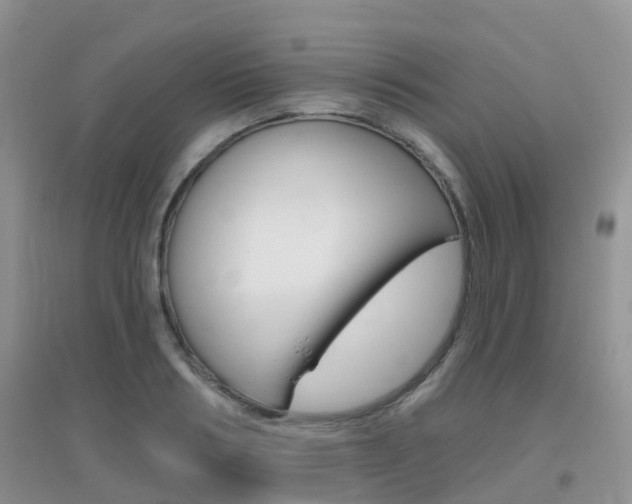 X0000096950986200802080917