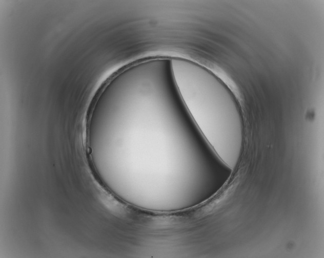 X0000096950988200802080917