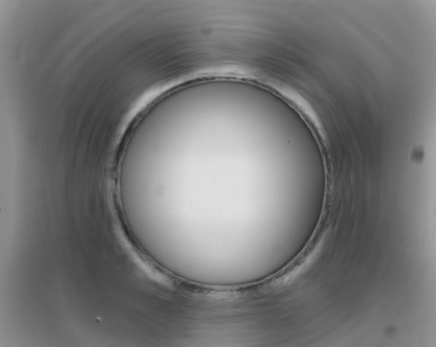 X0000096950989200802080917