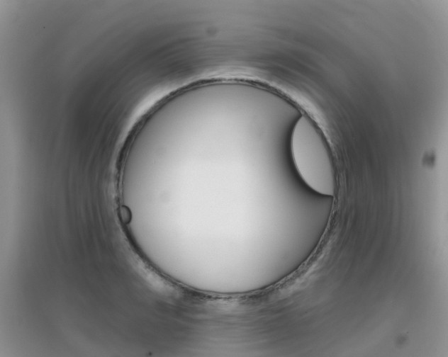 X0000096950990200802080917