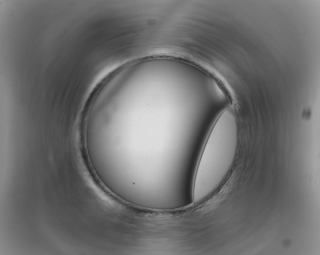 X0000096950991200802080917
