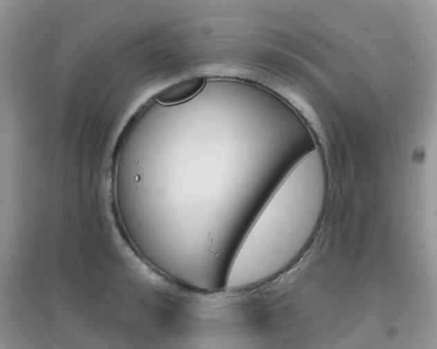 X0000096950992200802080917